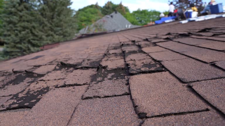 Best Roofing for New Construction  in Keowee Key, SC